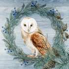 Winter Owl Blues 1 Art Print