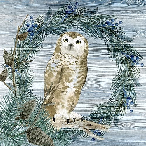 Winter Owl Blues 3 Wildlife Print