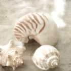In the Sand Art Print