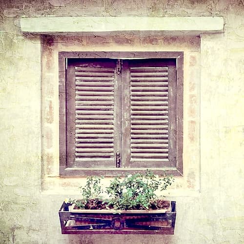 Window View Architecture Print