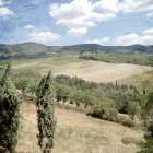 Tuscan Field Art Print