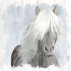 Mane Art Print
