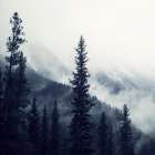 Mountain Heights 1 Art Print