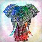 Elephant Mandala Art Print