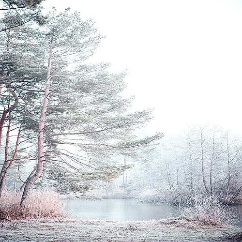 Silence Landscape Print