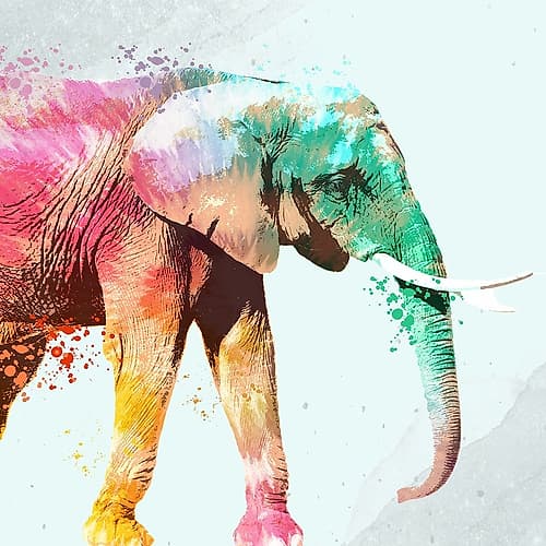 Tie Die Elephant 1 Art Print