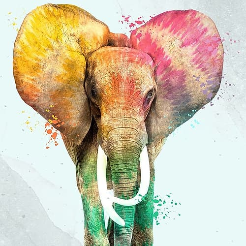 Tie Die Elephant 2 Art Print
