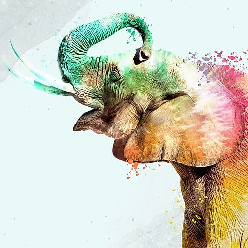 Tie Die Elephant 3 Art Print