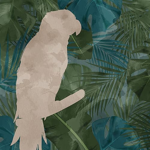Parrot Silhouette 1 Art Print by Kimberly Allen