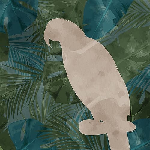 Parrot Silhouette 2 Art Print by Kimberly Allen
