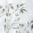 Bamboo 1 Botanical Print