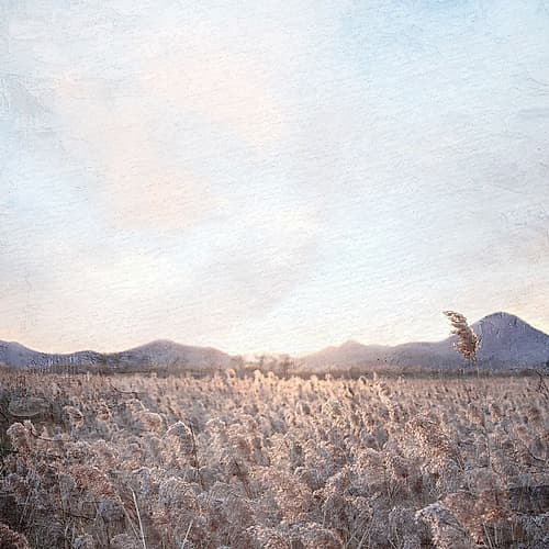 Field Landscape Print