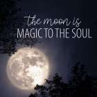 Magic Soul Art Print