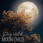 Stay Wild Moon Child Art Print