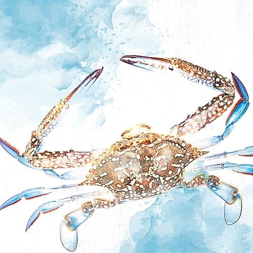 Crab Coastal Print