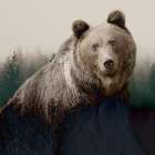 Forest Bear Art Print