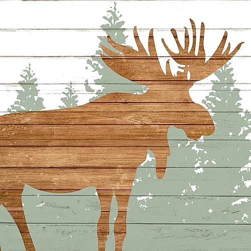 Woods 1 Animaux reproduction