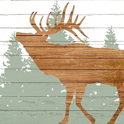 Woods 3 Art Print