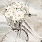Flower Bike Art Print