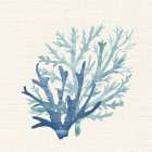 Coral Shades 2 Art Print
