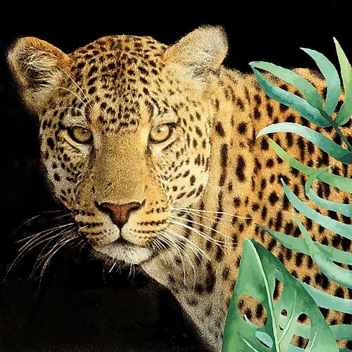 Wild 2 Art Print