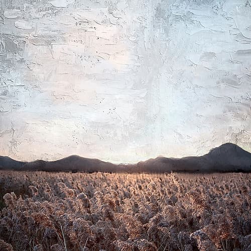 In the Fields Landscape Print