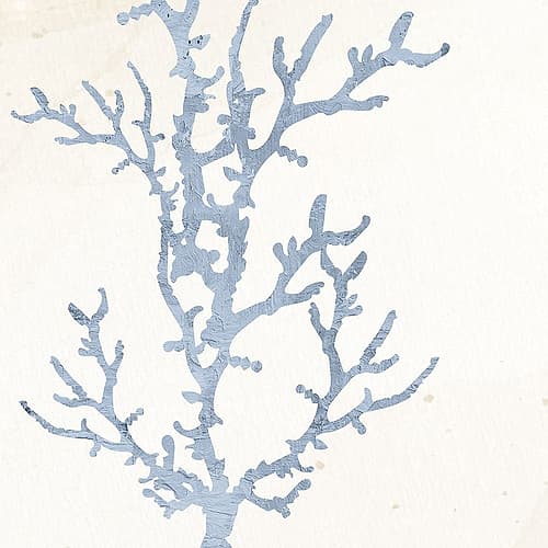 Coral Days 1 Coastal Print