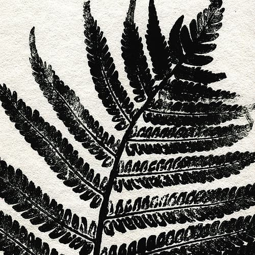 Pressed Fern 1 Coastal Print