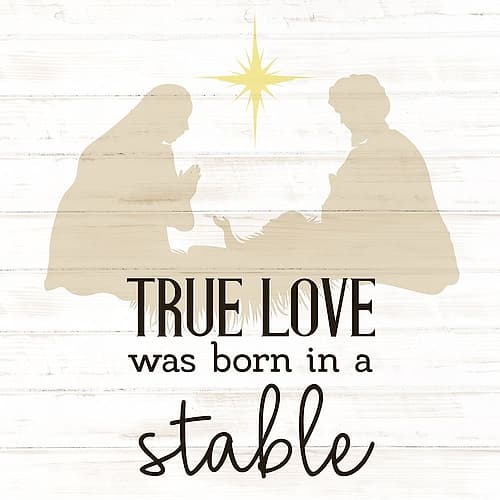 In A Stable Nature Print
