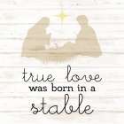 Born in a Stable Art Print
