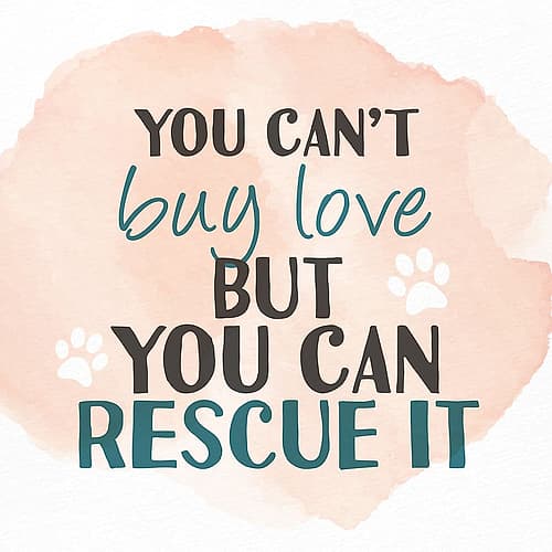 You Cant Buy Love Art Print
