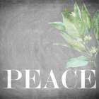 Peace Art Print