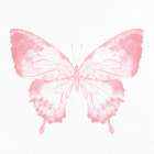 Butterfly Soar 2 Pop Culture Print