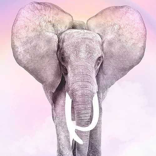 Pink Animals 2 Art Print
