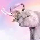 Pink Animals 3 Art Print
