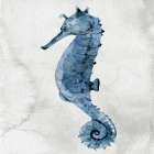 Sea Life 1 Art Print