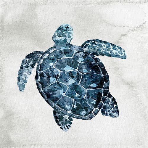 Sea Life 2 Art Print
