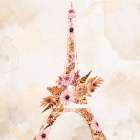 Paris Fall Blooms 1 Art Print