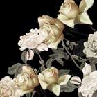 Elegance 2 Art Print