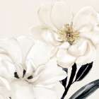 Blossom Art Print
