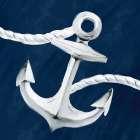 Anchored 1 Art Print