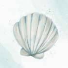 Seashore Shell 2 Art Print