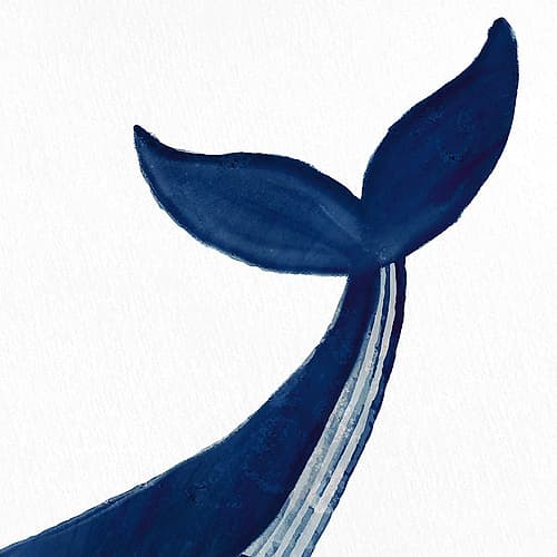 Whale 1 Art Print