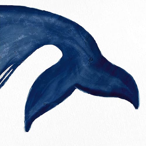 Whale 2 Coastal Print