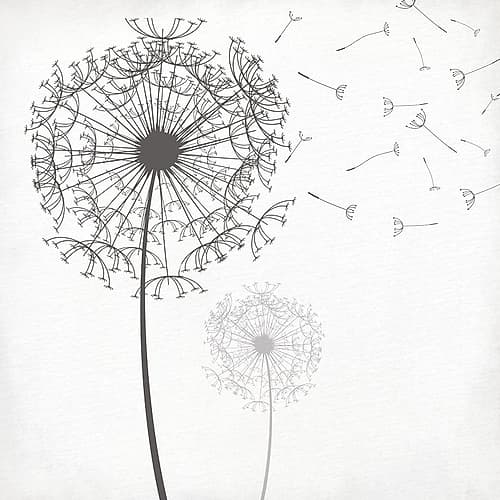 Wishing Art Print