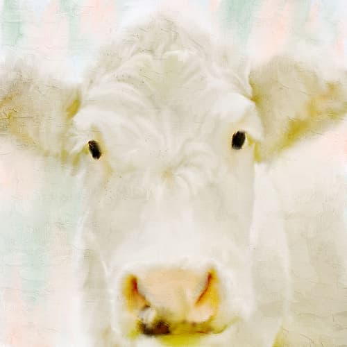 Bess Art Print