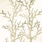 Sand Coral 1 Art Print