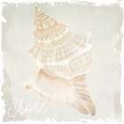 Shore Coast 1 Art Print