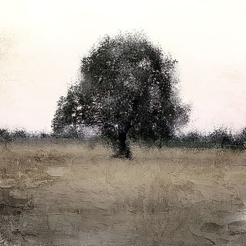 Tree Silhouette Landscape Print