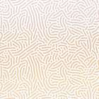 Organic Desert 1 Art Print